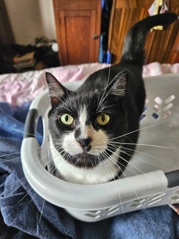 Mando - Strategic thinker